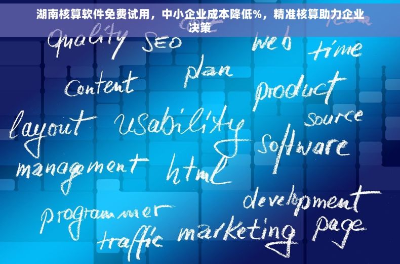 湖南核算软件免费试用，中小企业成本降低%，精准核算助力企业决策