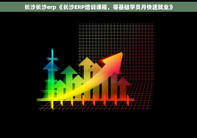 长沙长沙erp 《长沙ERP培训课程，零基础学员月快速就业》