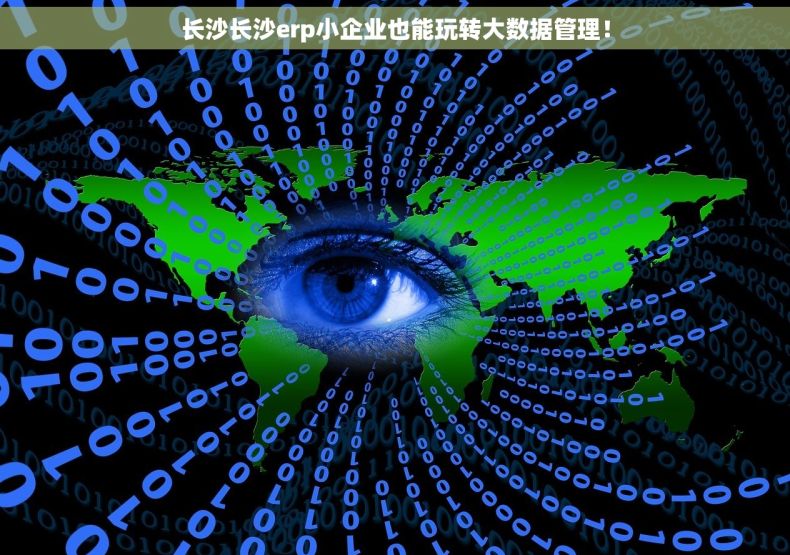 长沙长沙erp小企业也能玩转大数据管理！