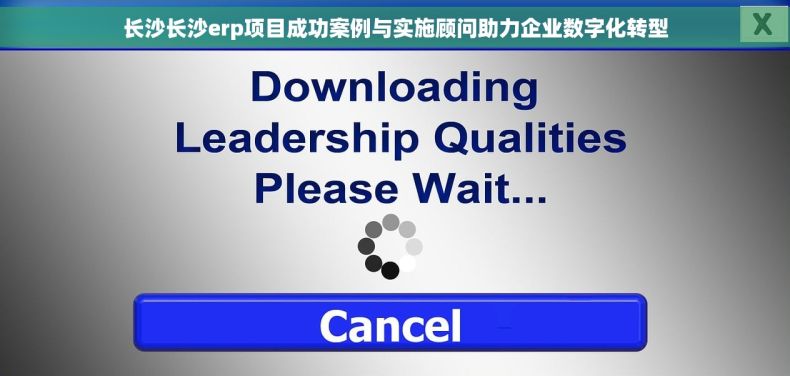 长沙长沙erp项目成功案例与实施顾问助力企业数字化转型