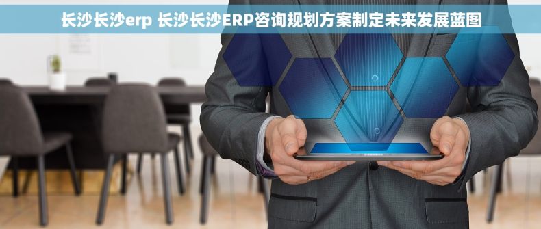长沙长沙erp 长沙长沙ERP咨询规划方案制定未来发展蓝图