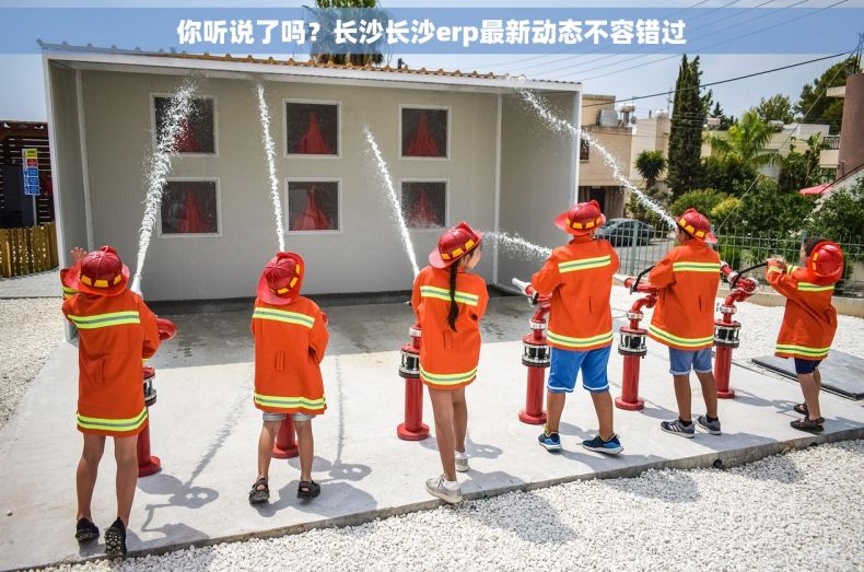 你听说了吗？长沙长沙erp最新动态不容错过