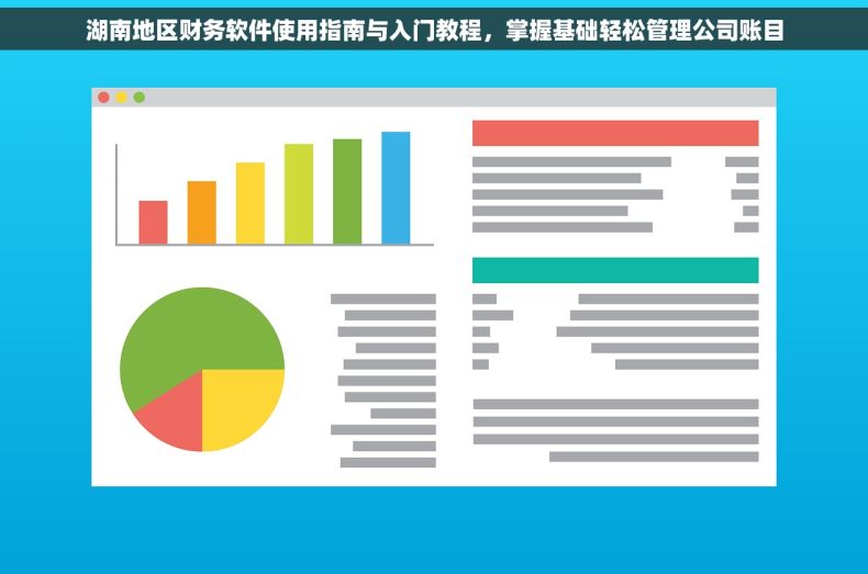 湖南地区财务软件使用指南与入门教程，掌握基础轻松管理公司账目