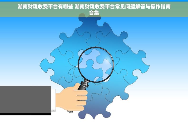 湖南财税收费平台有哪些 湖南财税收费平台常见问题解答与操作指南合集