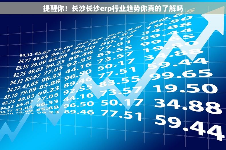 提醒你！长沙长沙erp行业趋势你真的了解吗