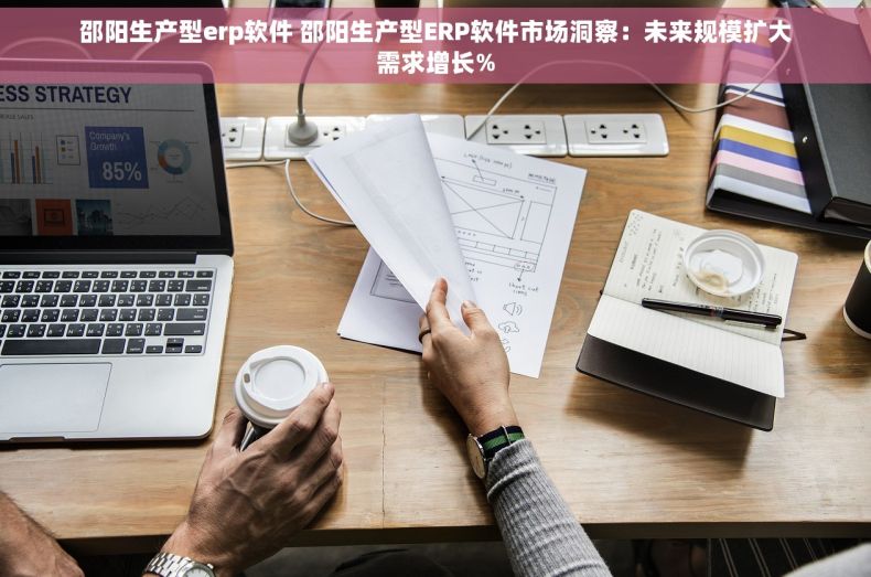 邵阳生产型erp软件 邵阳生产型ERP软件市场洞察：未来规模扩大需求增长%