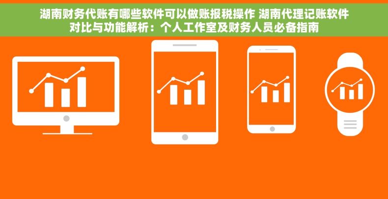湖南财务代账有哪些软件可以做账报税操作 湖南代理记账软件对比与功能解析：个人工作室及财务人员必备指南