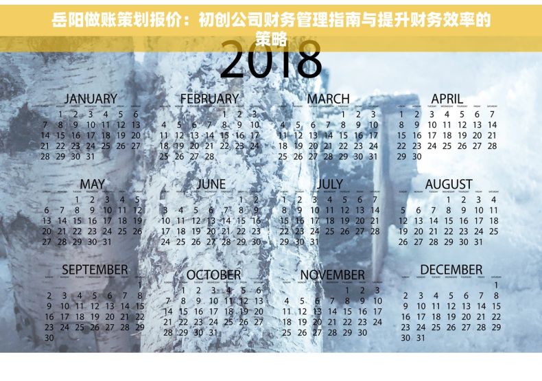 岳阳做账策划报价：初创公司财务管理指南与提升财务效率的策略