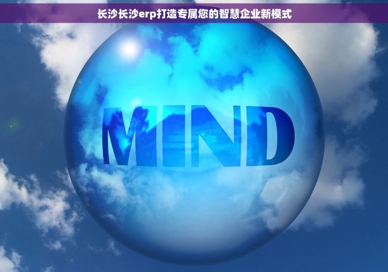 长沙长沙erp打造专属您的智慧企业新模式