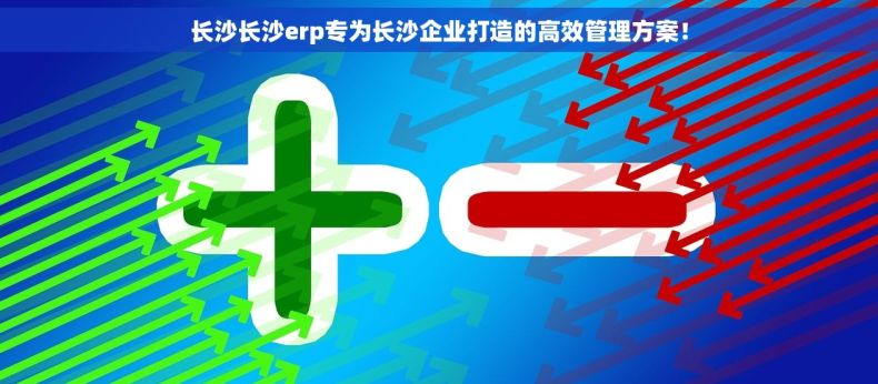 长沙长沙erp专为长沙企业打造的高效管理方案！