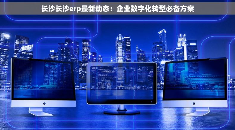 长沙长沙erp最新动态：企业数字化转型必备方案