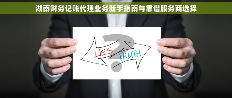湖南财务记账代理业务新手指南与靠谱服务商选择