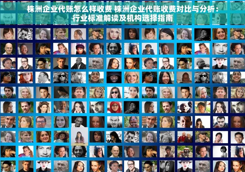 株洲企业代账怎么样收费 株洲企业代账收费对比与分析：行业标准解读及机构选择指南