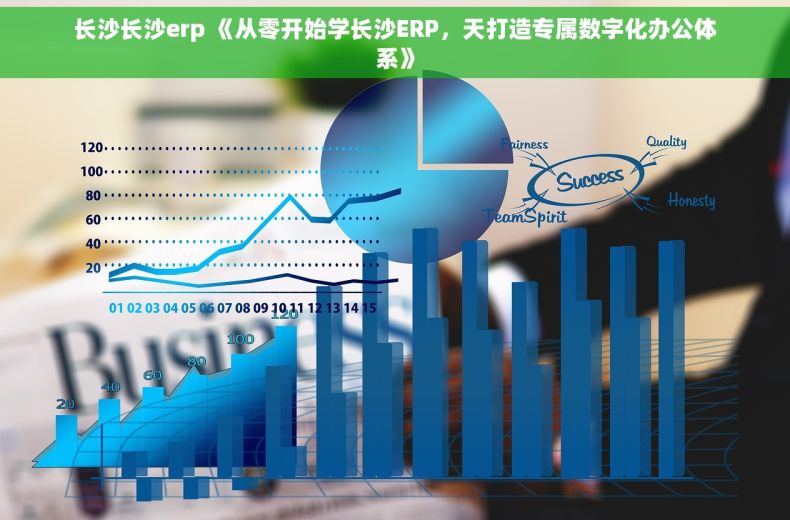 长沙长沙erp 《从零开始学长沙ERP，天打造专属数字化办公体系》