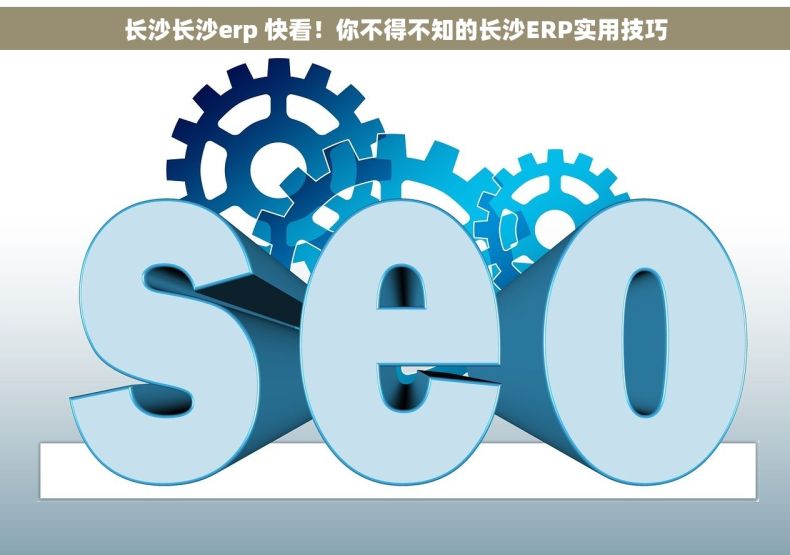 长沙长沙erp 快看！你不得不知的长沙ERP实用技巧