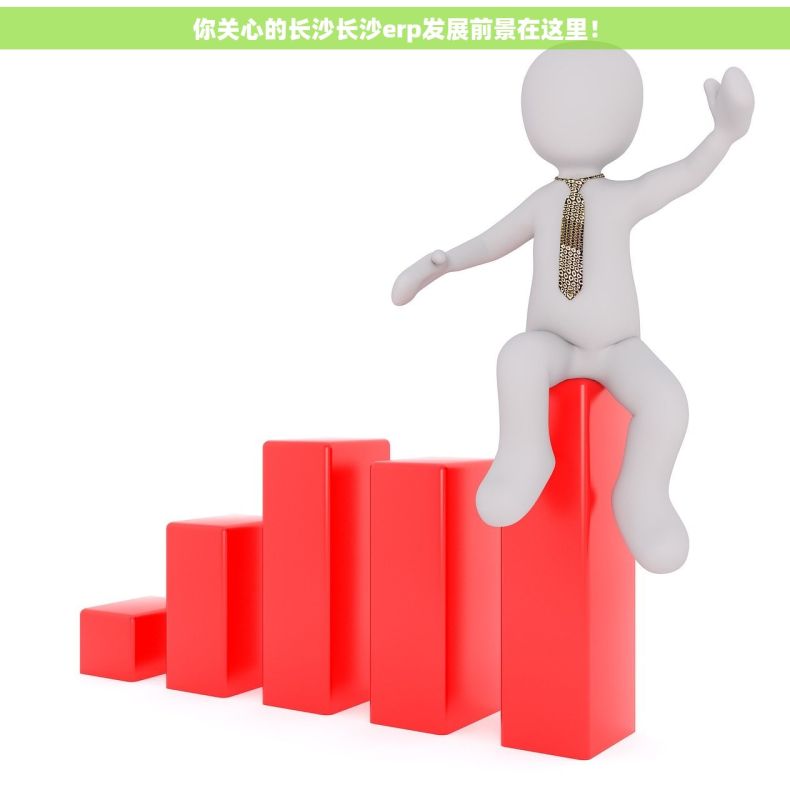 你关心的长沙长沙erp发展前景在这里！
