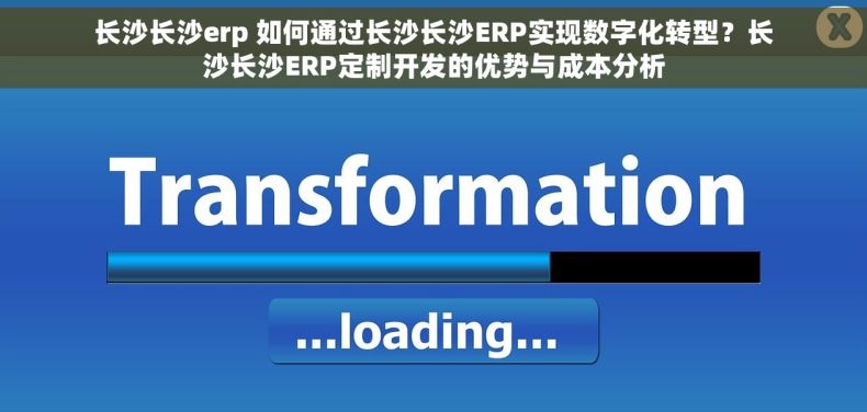 长沙长沙erp 如何通过长沙长沙ERP实现数字化转型？长沙长沙ERP定制开发的优势与成本分析