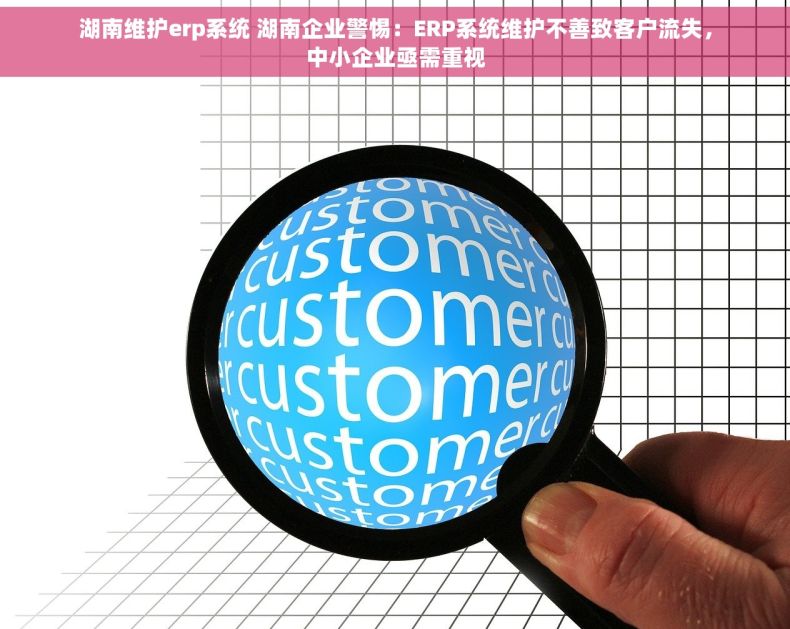 湖南维护erp系统 湖南企业警惕：ERP系统维护不善致客户流失，中小企业亟需重视
