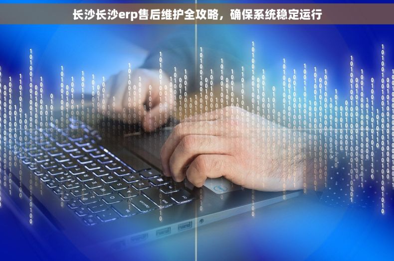 长沙长沙erp售后维护全攻略，确保系统稳定运行