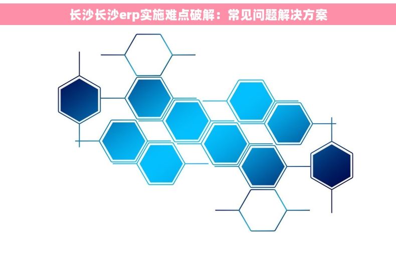 长沙长沙erp实施难点破解：常见问题解决方案