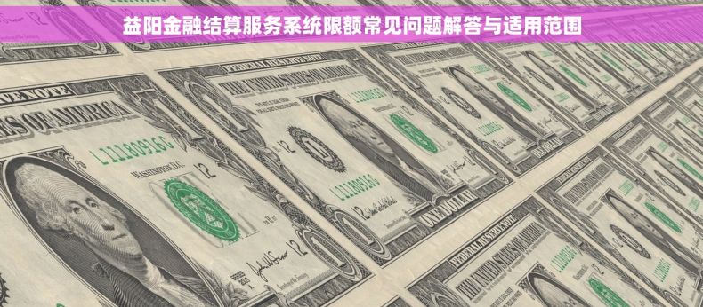 益阳金融结算服务系统限额常见问题解答与适用范围