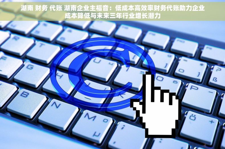 湖南 财务 代账 湖南企业主福音：低成本高效率财务代账助力企业成本降低与未来三年行业增长潜力
