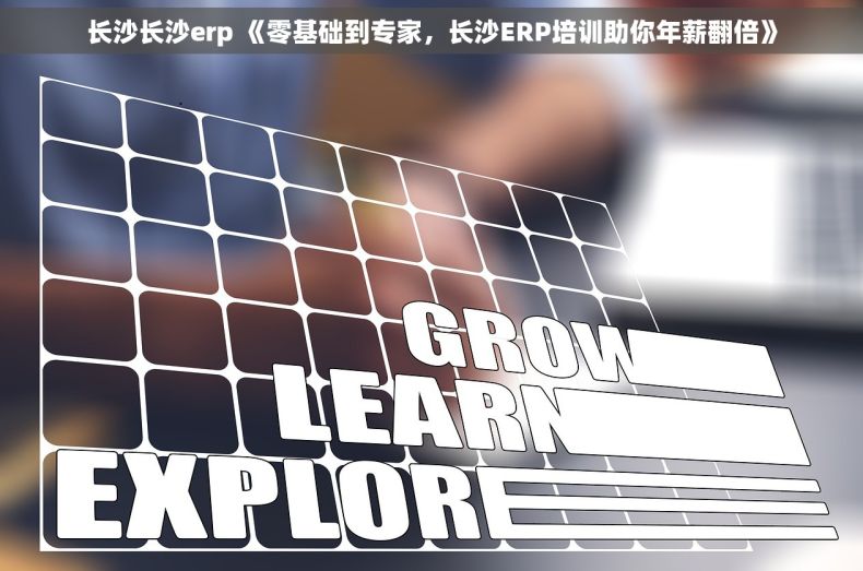 长沙长沙erp 《零基础到专家，长沙ERP培训助你年薪翻倍》
