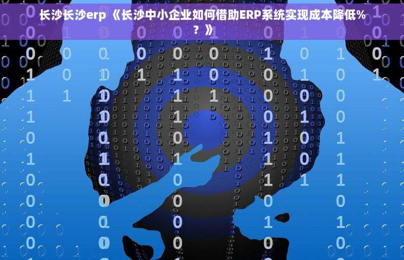 长沙长沙erp 《长沙中小企业如何借助ERP系统实现成本降低%？》