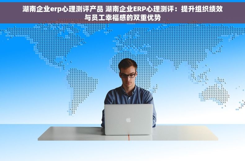 湖南企业erp心理测评产品 湖南企业ERP心理测评：提升组织绩效与员工幸福感的双重优势