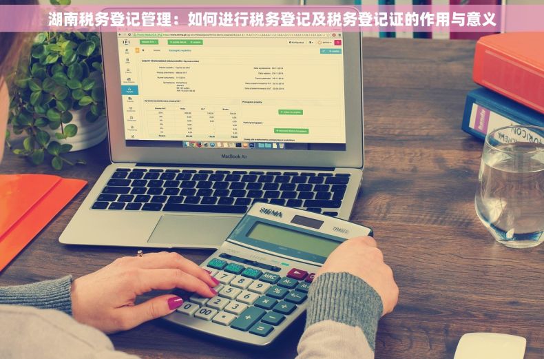 湖南税务登记管理：如何进行税务登记及税务登记证的作用与意义