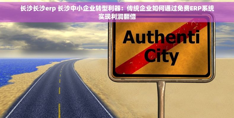 长沙长沙erp 长沙中小企业转型利器：传统企业如何通过免费ERP系统实现利润翻倍