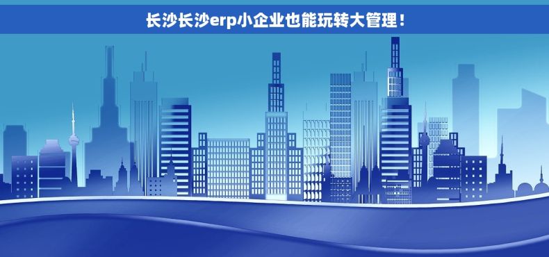 长沙长沙erp小企业也能玩转大管理！