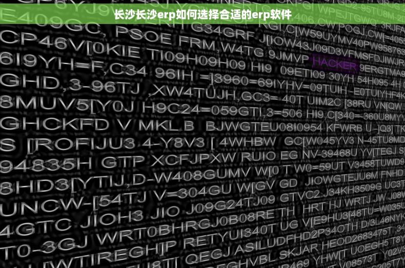 长沙长沙erp如何选择合适的erp软件