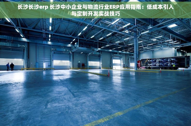 长沙长沙erp 长沙中小企业与物流行业ERP应用指南：低成本引入与定制开发实战技巧