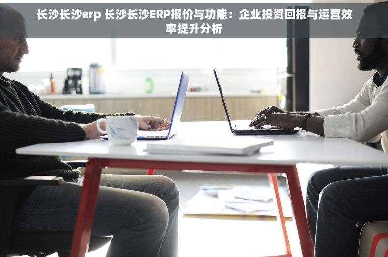 长沙长沙erp 长沙长沙ERP报价与功能：企业投资回报与运营效率提升分析