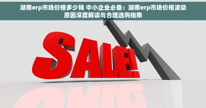 湖南erp市场价格多少钱 中小企业必备：湖南erp市场价格波动原因深度解读与合理选购指南