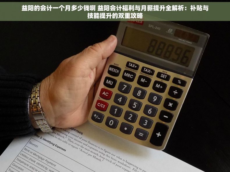 益阳的会计一个月多少钱啊 益阳会计福利与月薪提升全解析：补贴与技能提升的双重攻略