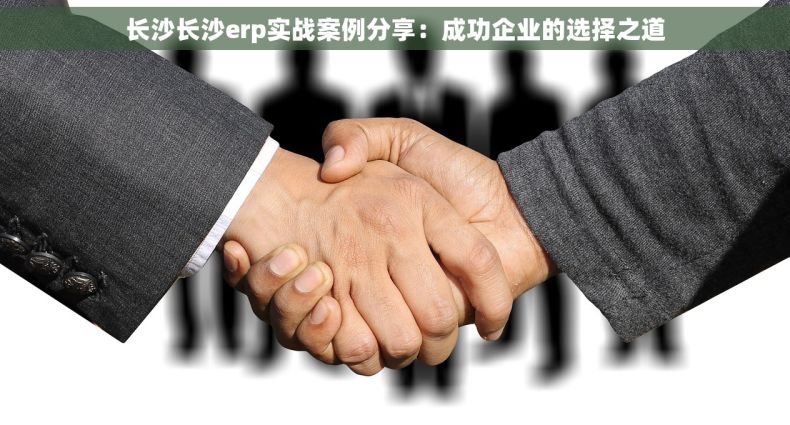 长沙长沙erp实战案例分享：成功企业的选择之道