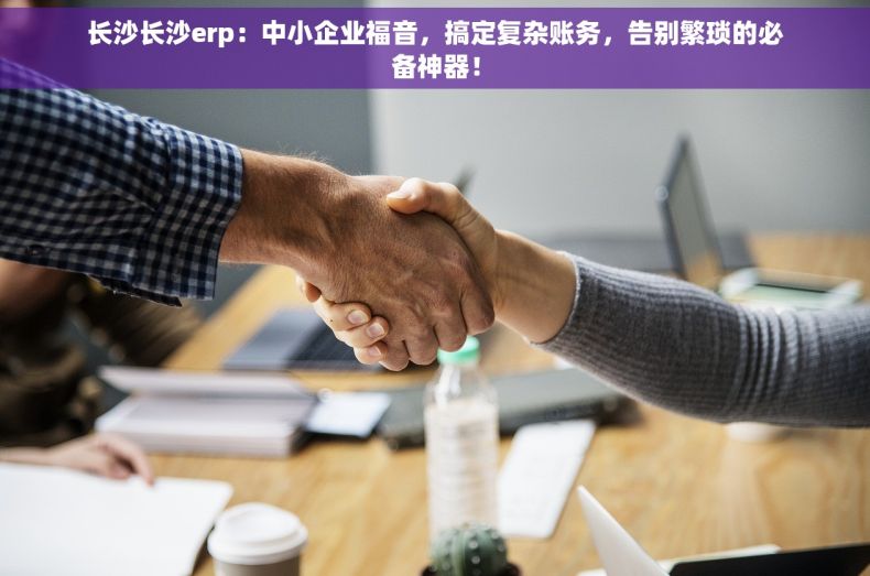 长沙长沙erp：中小企业福音，搞定复杂账务，告别繁琐的必备神器！