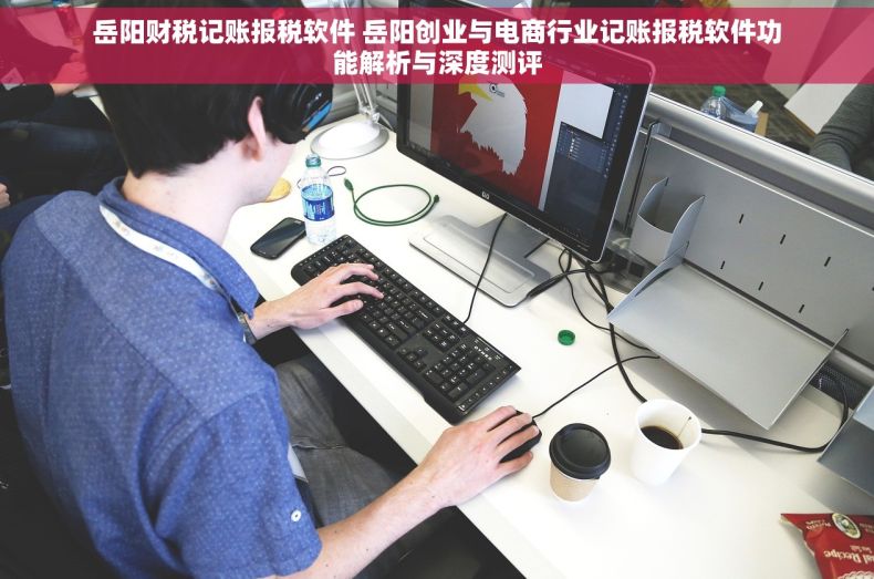 岳阳财税记账报税软件 岳阳创业与电商行业记账报税软件功能解析与深度测评