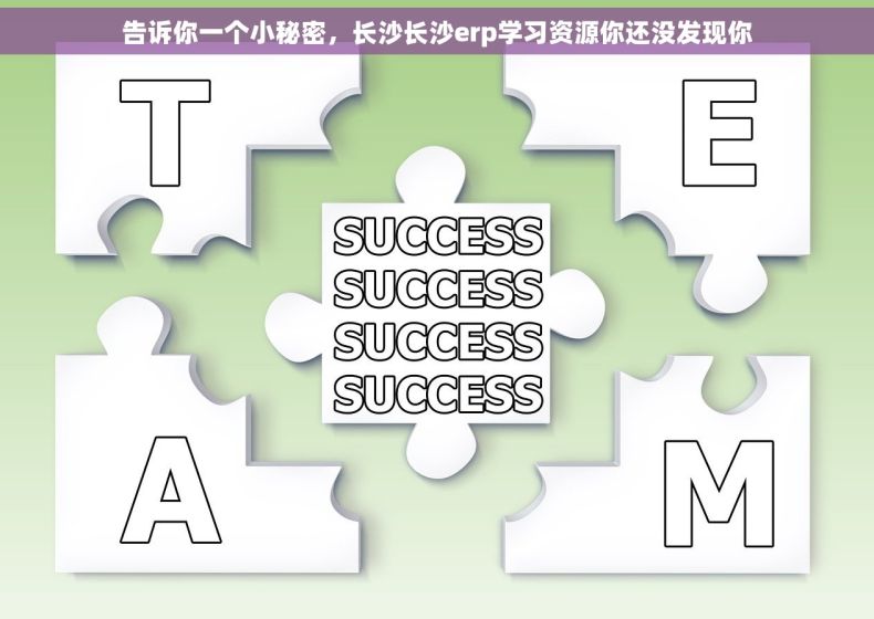 告诉你一个小秘密，长沙长沙erp学习资源你还没发现你