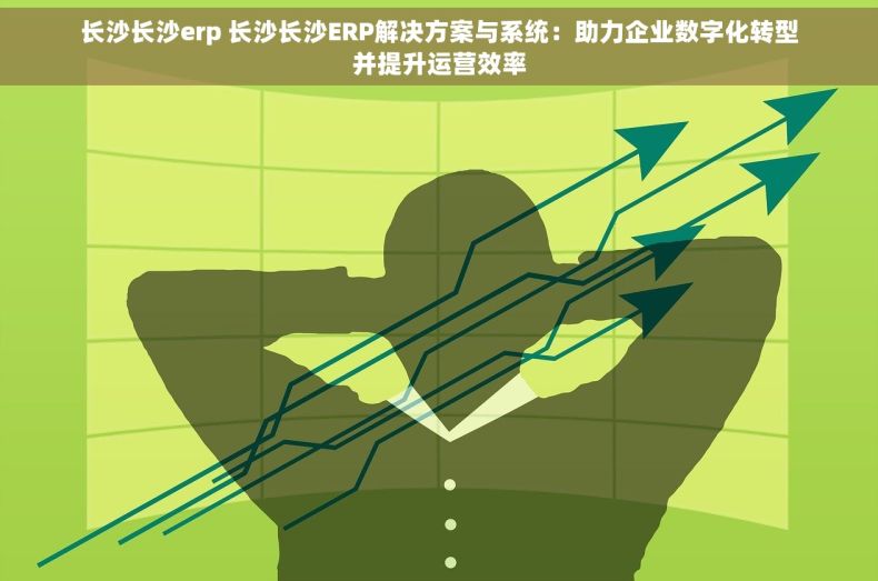 长沙长沙erp 长沙长沙ERP解决方案与系统：助力企业数字化转型并提升运营效率