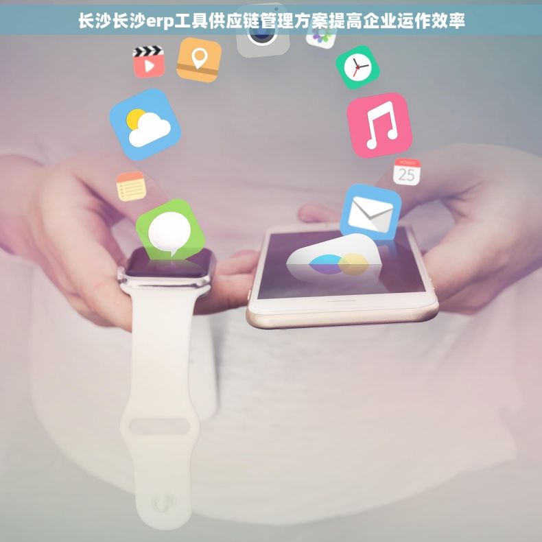长沙长沙erp工具供应链管理方案提高企业运作效率