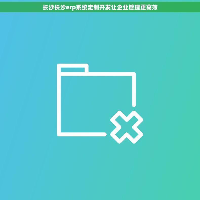 长沙长沙erp系统定制开发让企业管理更高效
