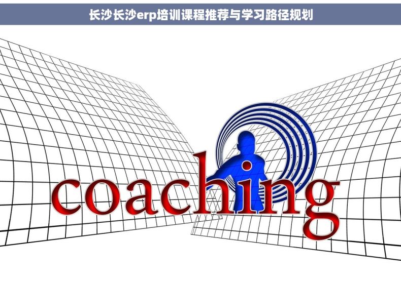 长沙长沙erp培训课程推荐与学习路径规划