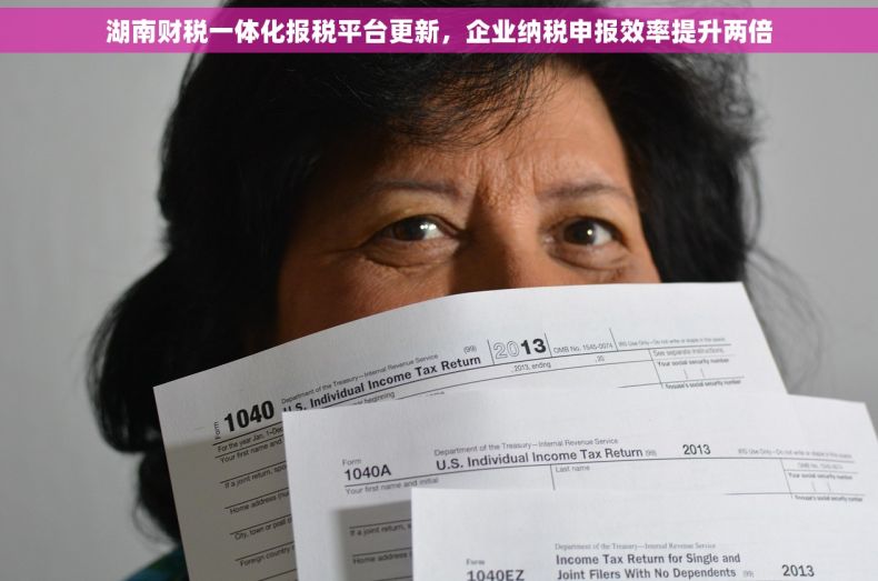 湖南财税一体化报税平台更新，企业纳税申报效率提升两倍