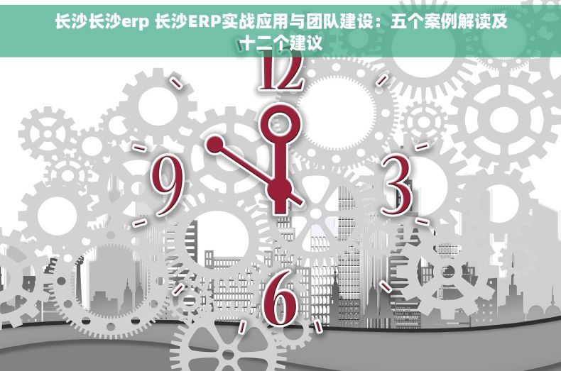 长沙长沙erp 长沙ERP实战应用与团队建设：五个案例解读及十二个建议