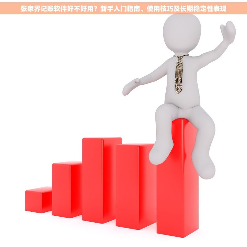 张家界记账软件好不好用？新手入门指南、使用技巧及长期稳定性表现