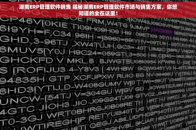 湖南ERP管理软件销售 揭秘湖南ERP管理软件市场与销售方案，你想知道的全在这里！