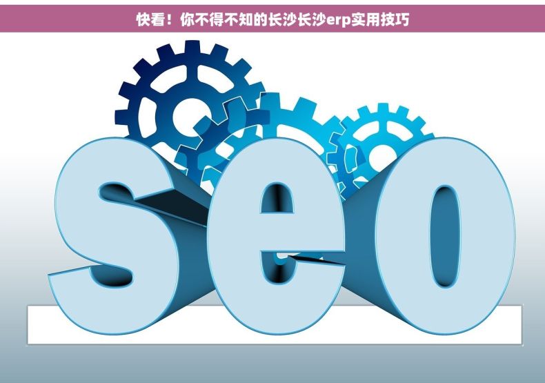 快看！你不得不知的长沙长沙erp实用技巧